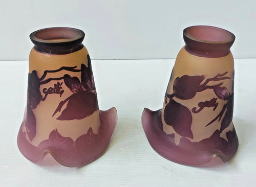 Paire tulipe pate verre - tulipe, de