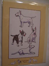 CARTE + ENVELOPPE - chien