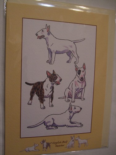 Carte enveloppe chien - +,