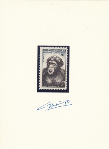 Colonies françaises aof 1955 - colonies,