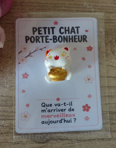 Mini chat porte bonheur - mini,