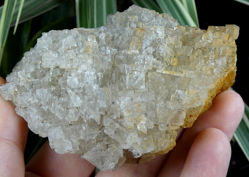 Belle fluorite fontsante 9x6cm - belle,