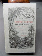 Les maladies des plantes