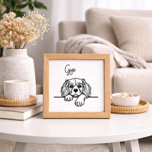 Custom cavalier king - custom,