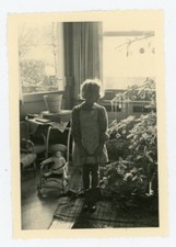 snapshot PHOTO, Christmas 1945 tree fir doll stroller