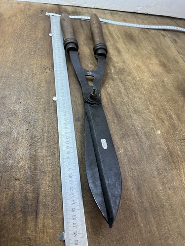 Cisaille coupe buis cm - buis,