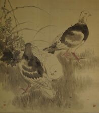 Japanisches Rollbild Kakejiku Kakemono Tauben Japan Roll-Up Scroll Kunst 4288