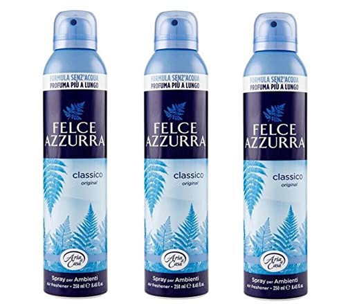 Felce azzurra aria casa - felce,