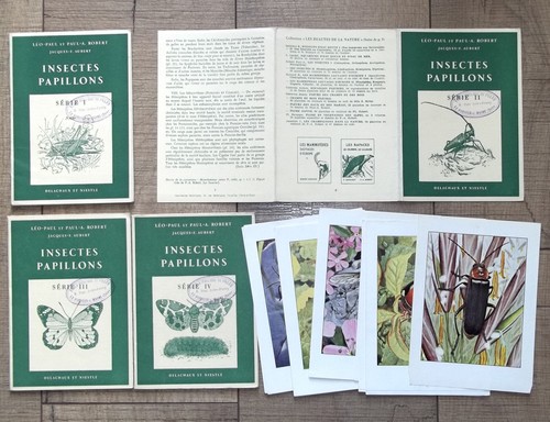 Insectes papillons 41 - insectes,,