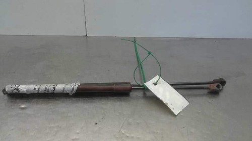 Trunk shock absorbers - absorbers, /