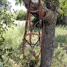 Rick Blé Nouvel Têtière