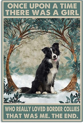 Border collie dog - ,