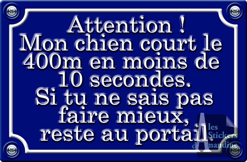 Attention chien style genre - attention,