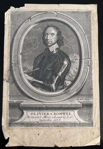 Gravure ancienne olivier - ancienne,