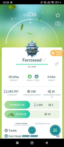 Ferroseed shiny registred - 2x,