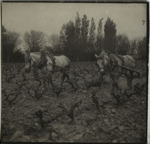 Photo ancienne vintage - photo,
