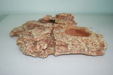 Vivarium Large Lézarder Terrarium Rock Décoration 31 x 22 x 6 CM pour Reptiles