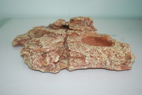 Vivarium large lézarder - vivarium,
