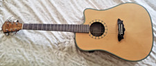 Washburn acoustic electric