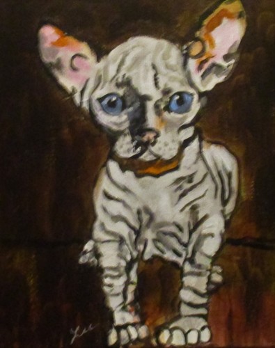 Sphynx cat abstract - sphynx,