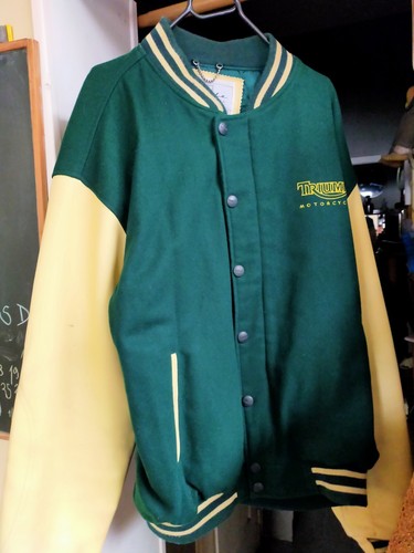 Jacket blouson teddy triumph - teddy,