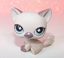 authentic LPS 664 PETSHOP chat cat siamese siamois hasbro pet shop