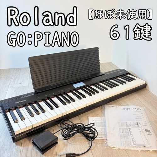 Roland piano 61p - go:piano, go-61p