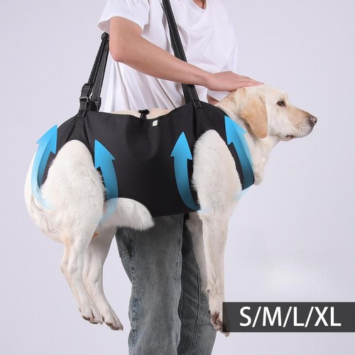 Harnais levage chiens - levage,