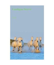 Cardigan Street: Lesbian Love