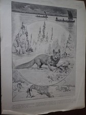 REVILLON Brothers Drawings by Georges SCOTT Advertising Paper ILLUSTRATION 1912 B