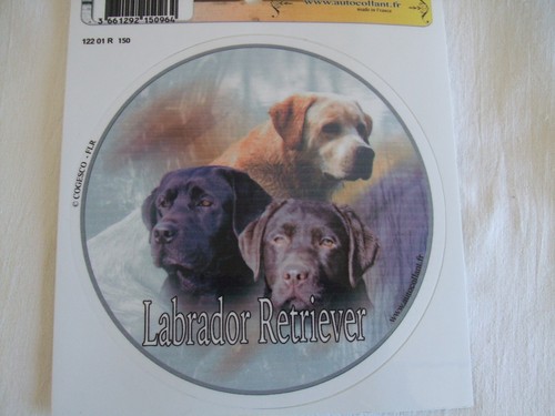 Autocollant motif chien - -,