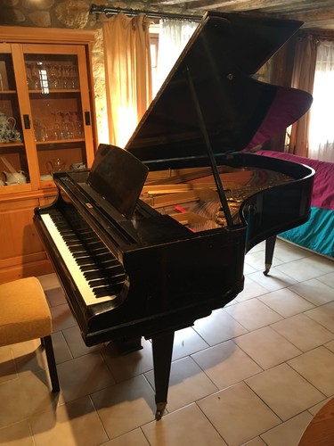 Piano quart queue blüthner - piano, de