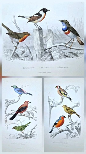 Gravures ancienne originale - , 3