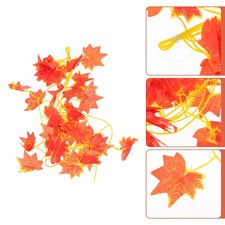  Terrarium Decor Reptile Box