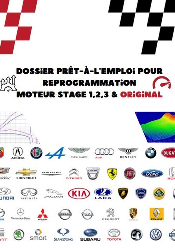 Dossier reprogrammation moteur