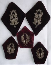 Lot Velours Vétérinaire WW2 1939-1945