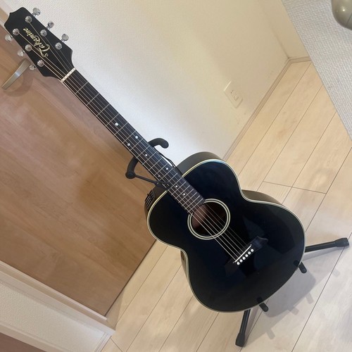 Guitare électrique acoustique