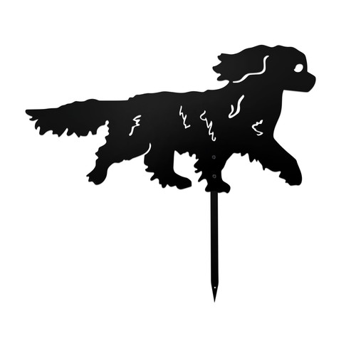 Cavalier king charles spaniel - charles,