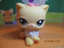 Petshop Chat Persian #1503