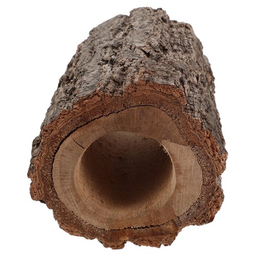 Abri pour terrarium - pour,