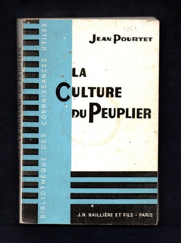Culture peuplier par - culture,