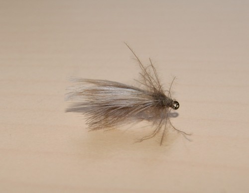 Emergeantes sedges - emergeantes,