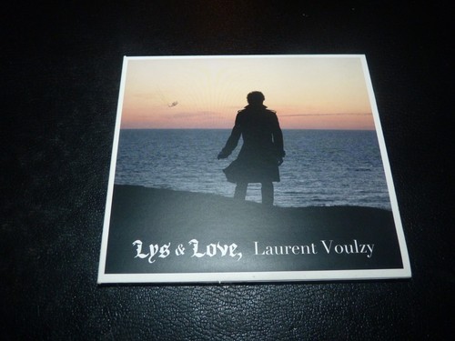 Digibook laurent voulzy - "laurent,