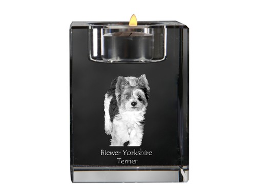 Biewer yorkshire terrier - biewer,