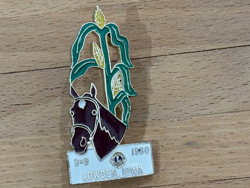 Big pins pin cheval - cheval, horse