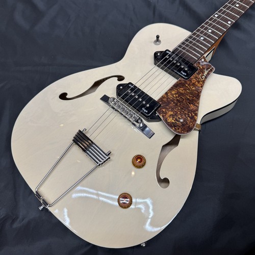 Godin archtop 5th - (completed),