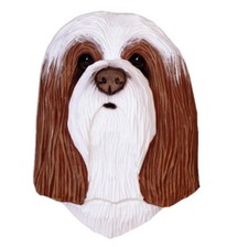 Figurine De Plaque De Tête De Bearded Collie Marron/Blanc