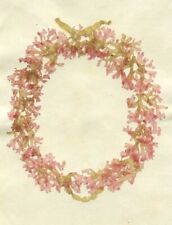 Algae composition - 19th century - ancient herbarium - botany - natural history