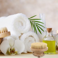  Brosse En Crin De Cheval