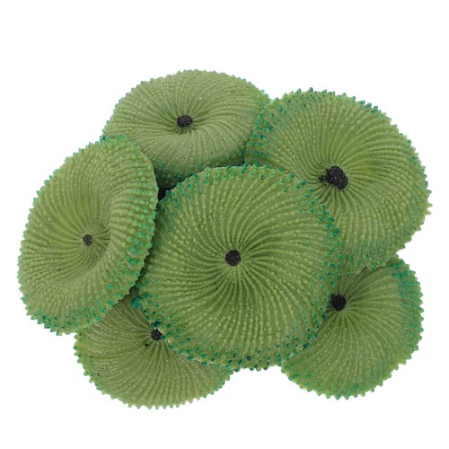 Décoration aquarium - ,